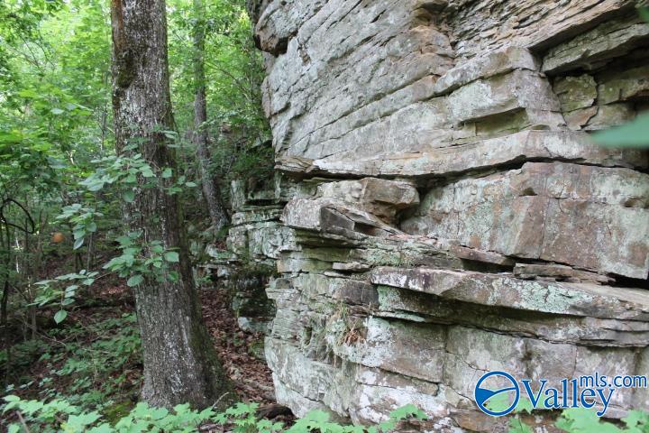 3 acre County Road 604