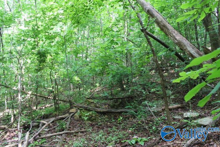 3 acre County Road 604