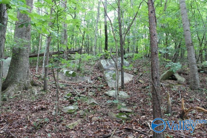 3 acre County Road 604