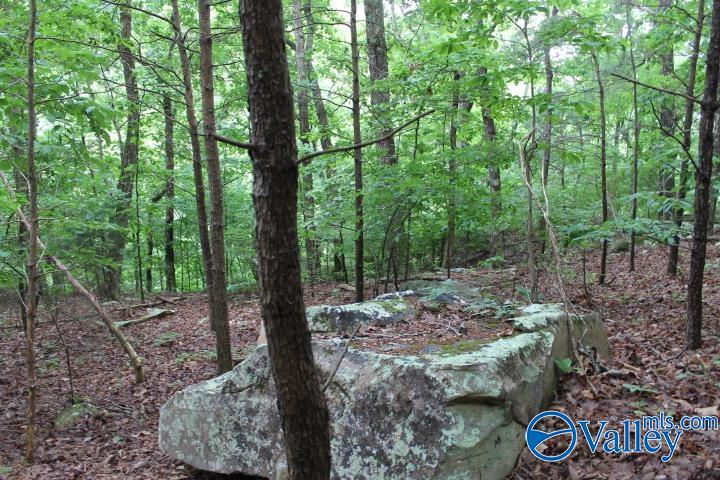 3 acre County Road 604