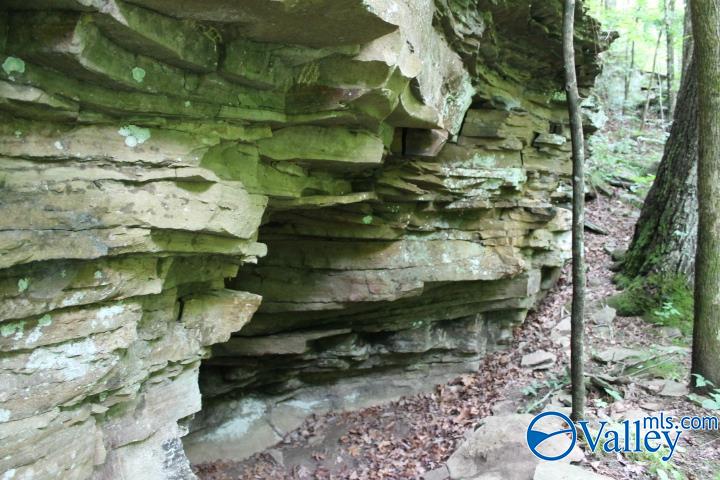 3 acre County Road 604