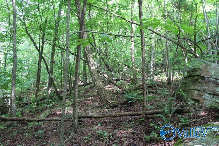 3 acre County Road 604