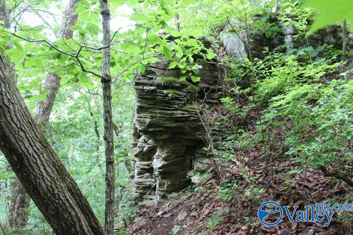3 acre County Road 604