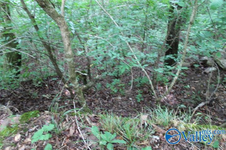 3 acre County Road 604