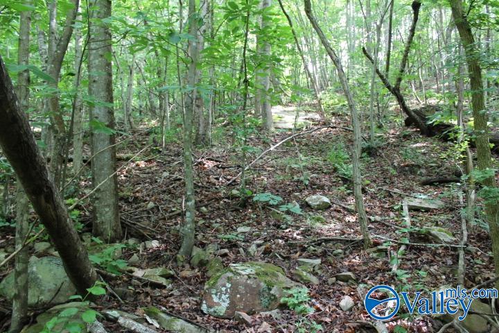 3 acre County Road 604