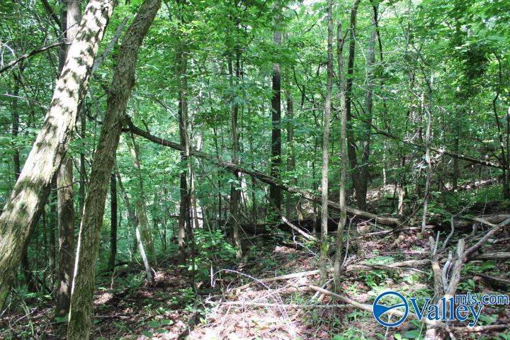3 acre County Road 604