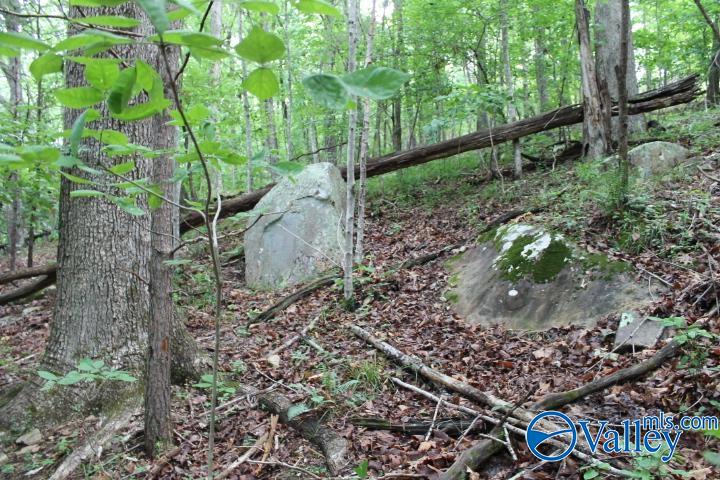 3 acre County Road 604