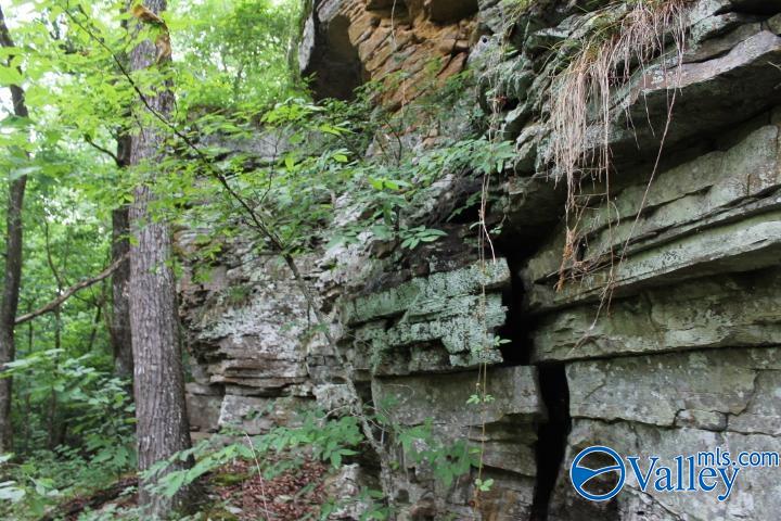 3 acre County Road 604