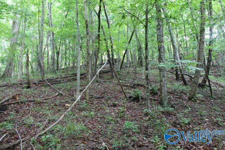 3 acre County Road 604