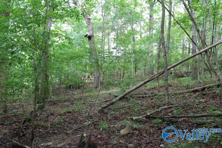 3.0 Acres County Road 604
