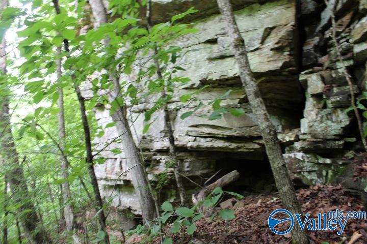 3.0 Acres County Road 604