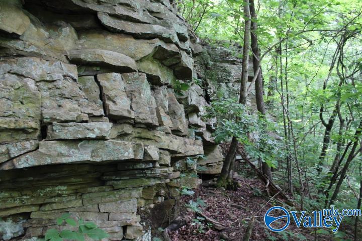 3.0 Acres County Road 604