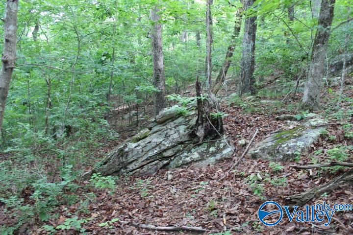 3.0 Acres County Road 604