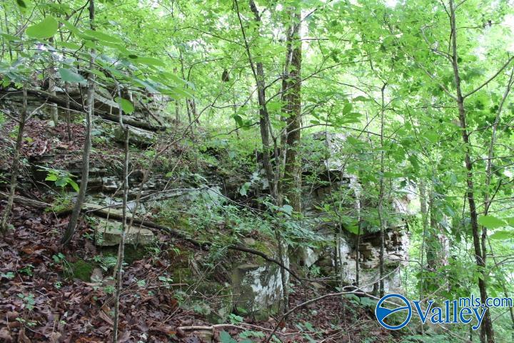 3.0 Acres County Road 604