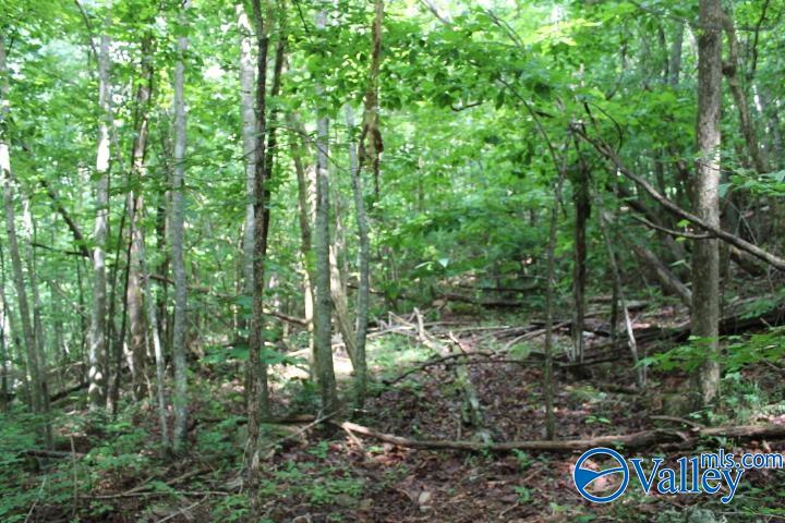 3.0 Acres County Road 604