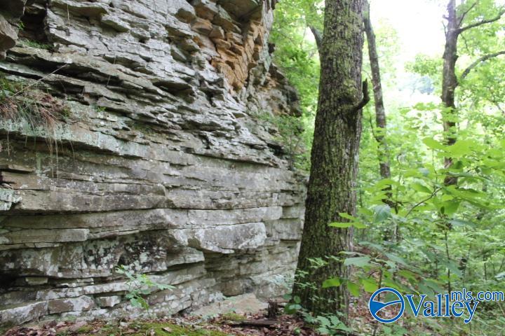 3.0 Acres County Road 604