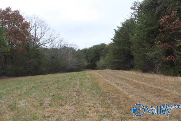 123 Jennings Road