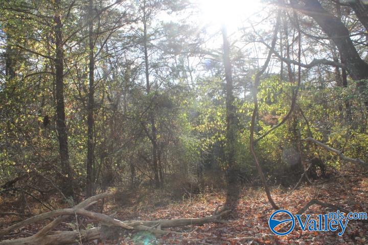 123 Jennings Road