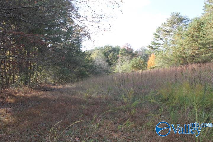123 Jennings Road