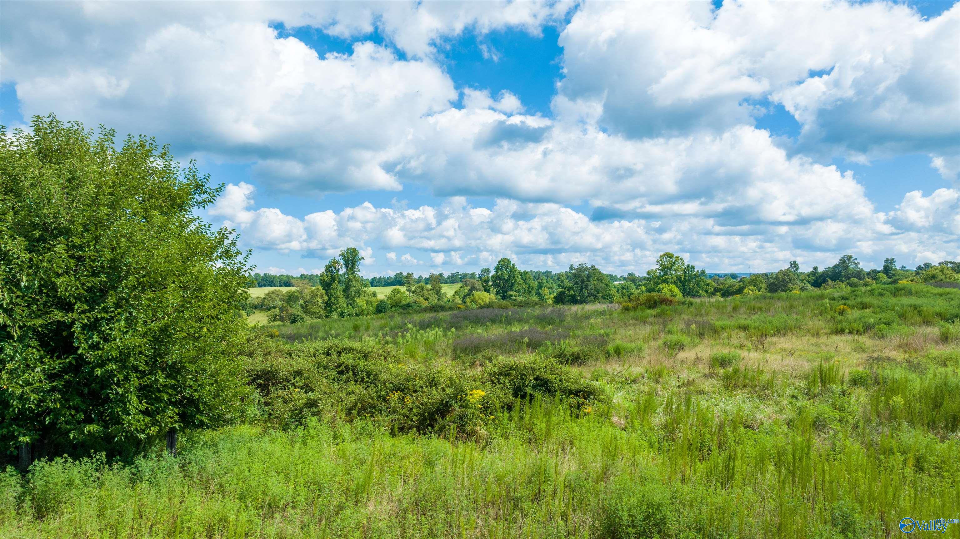 1314 County Road 112