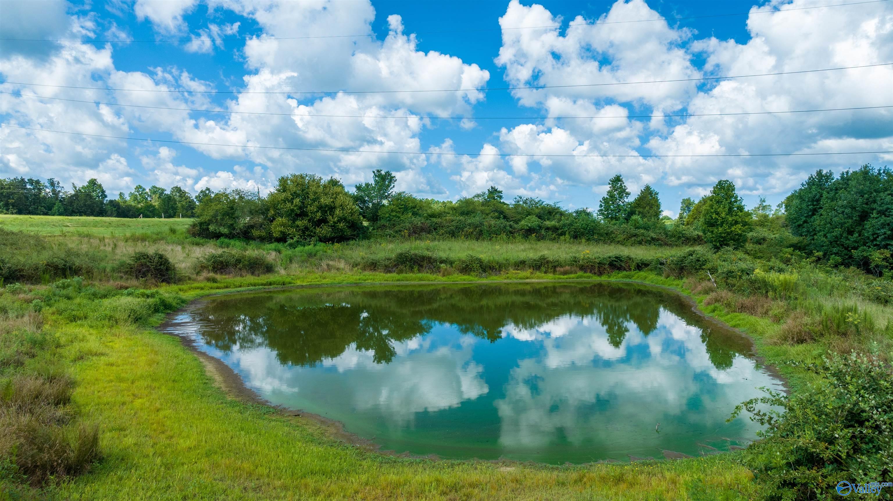 1314 County Road 112