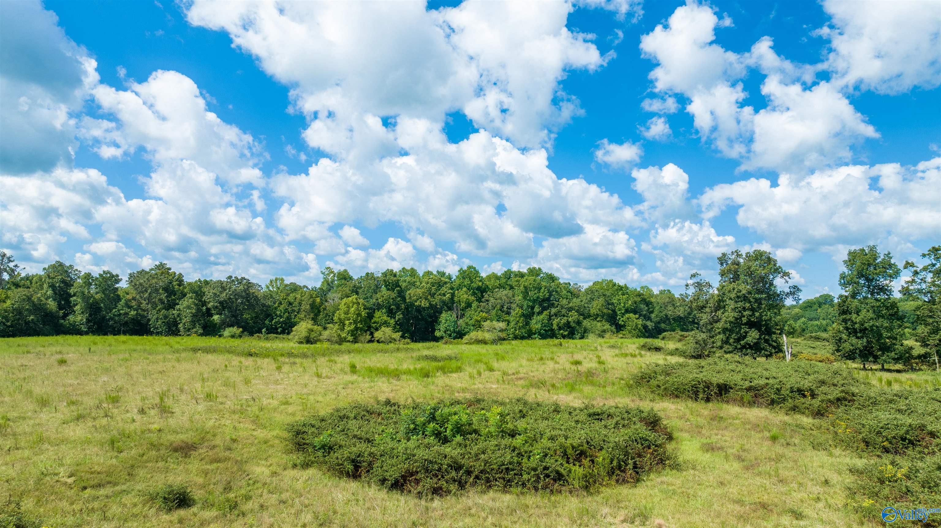 1314 County Road 112