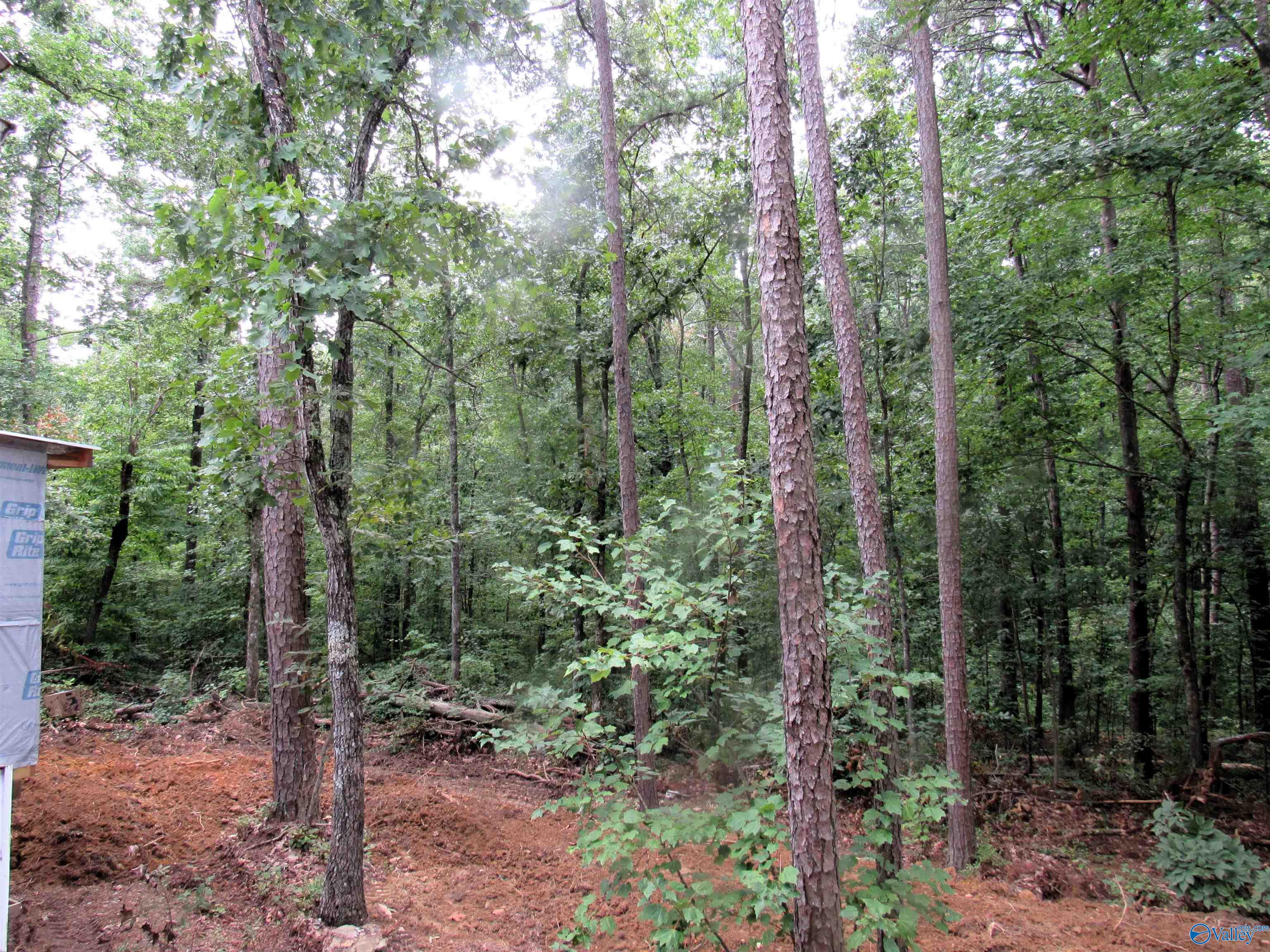 300 County Road 871