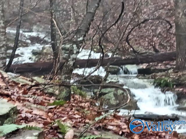 300 County Road 871