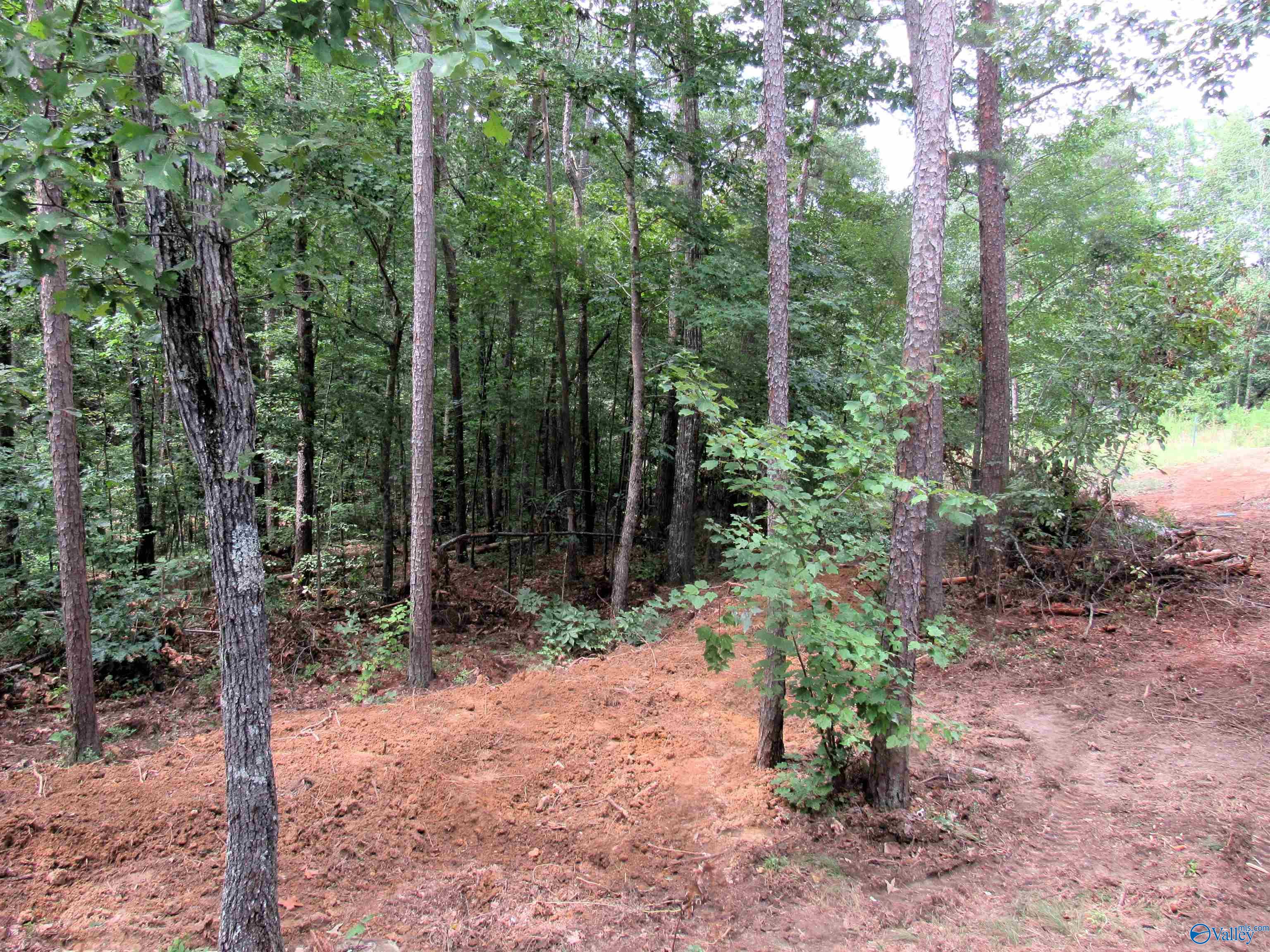 300 County Road 871