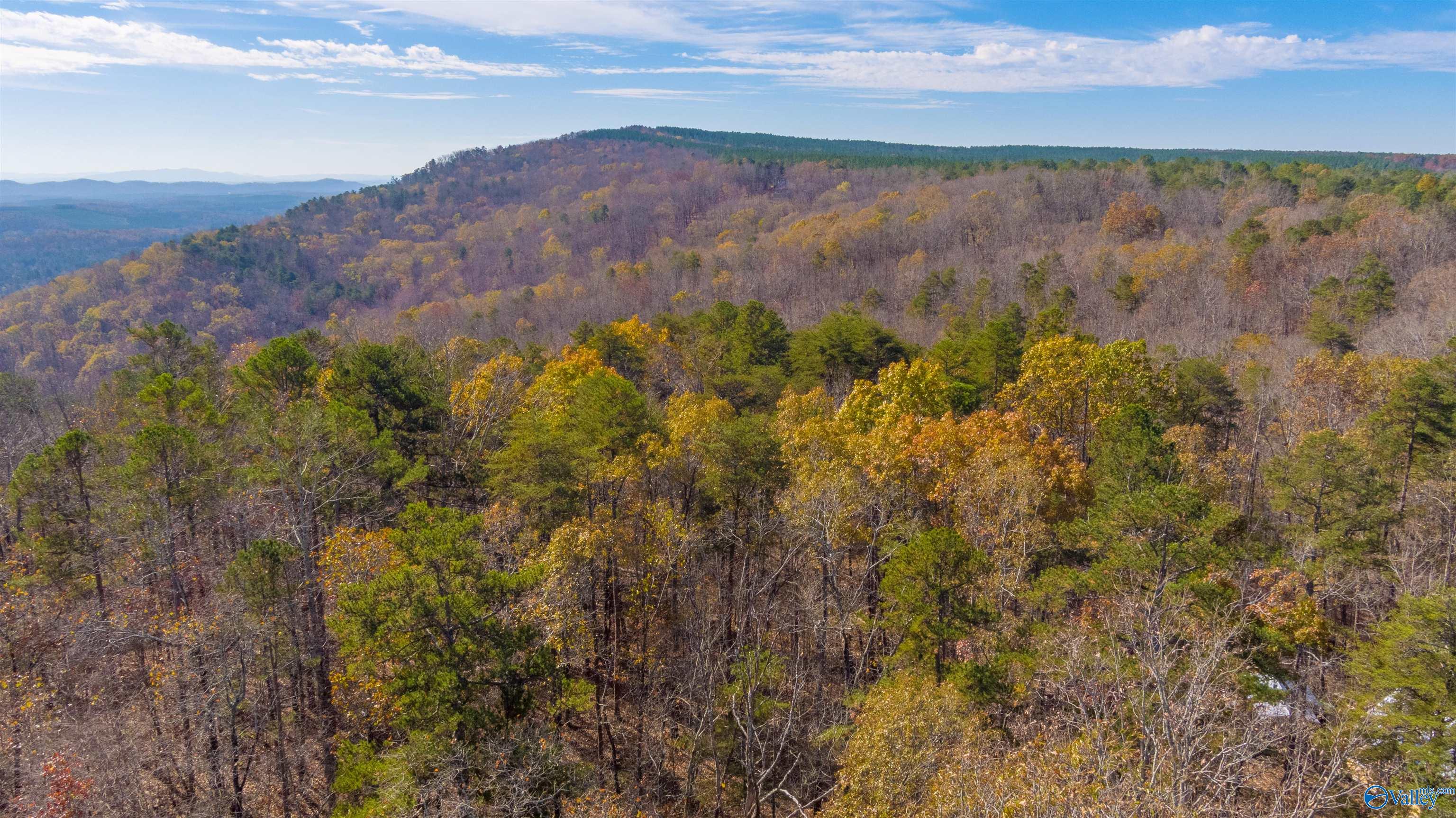300 County Road 871