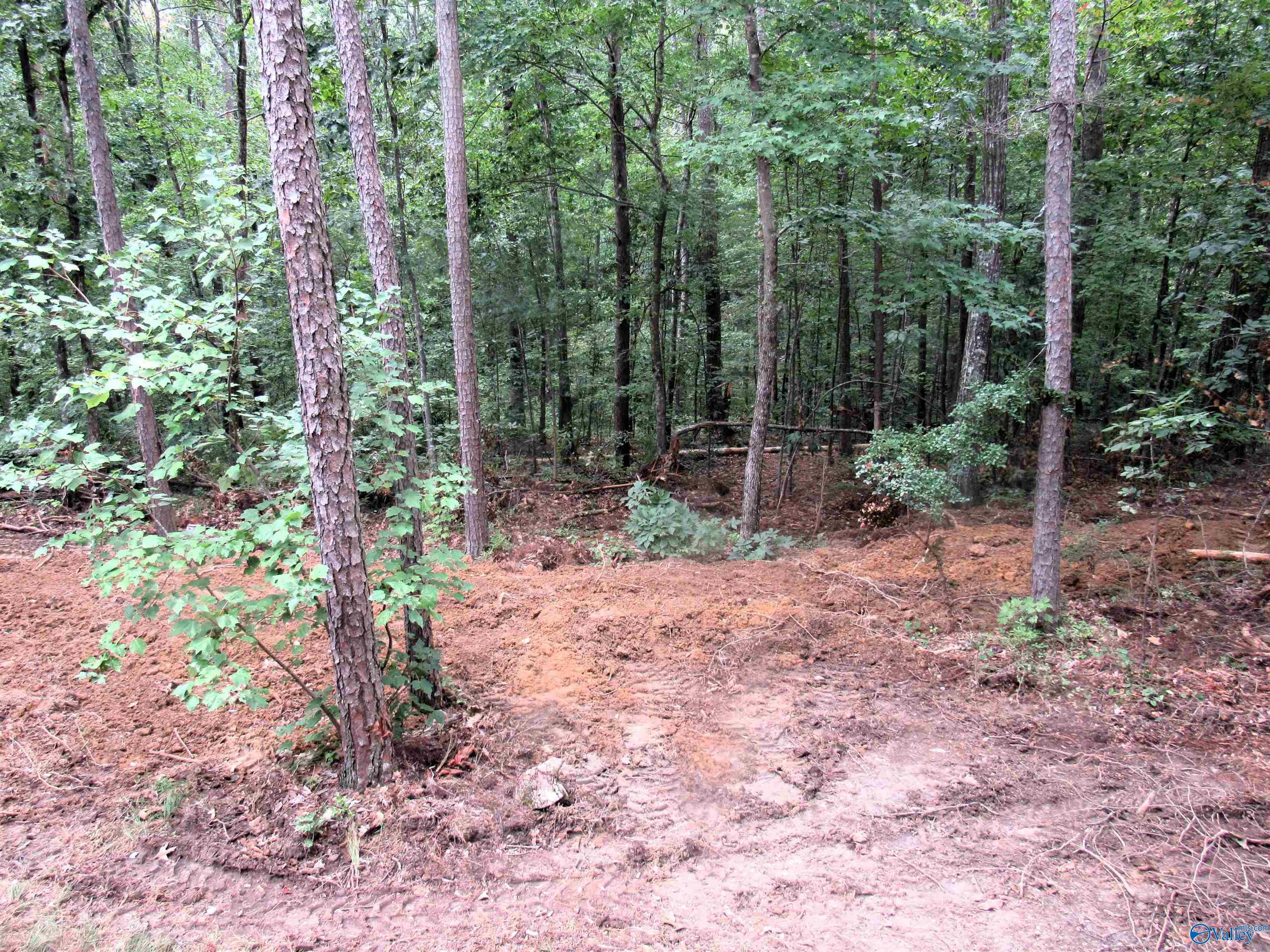 300 County Road 871