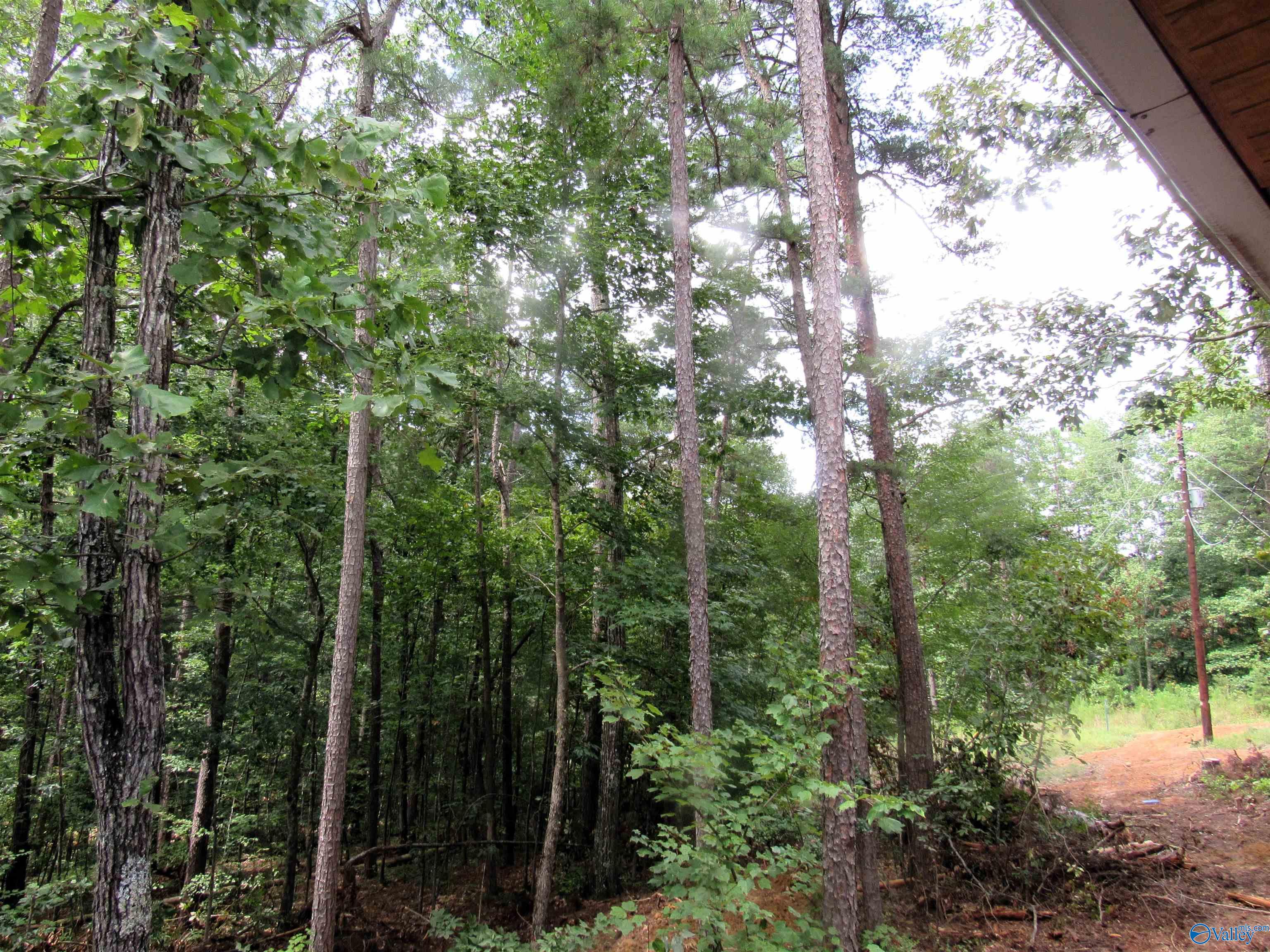 300 County Road 871