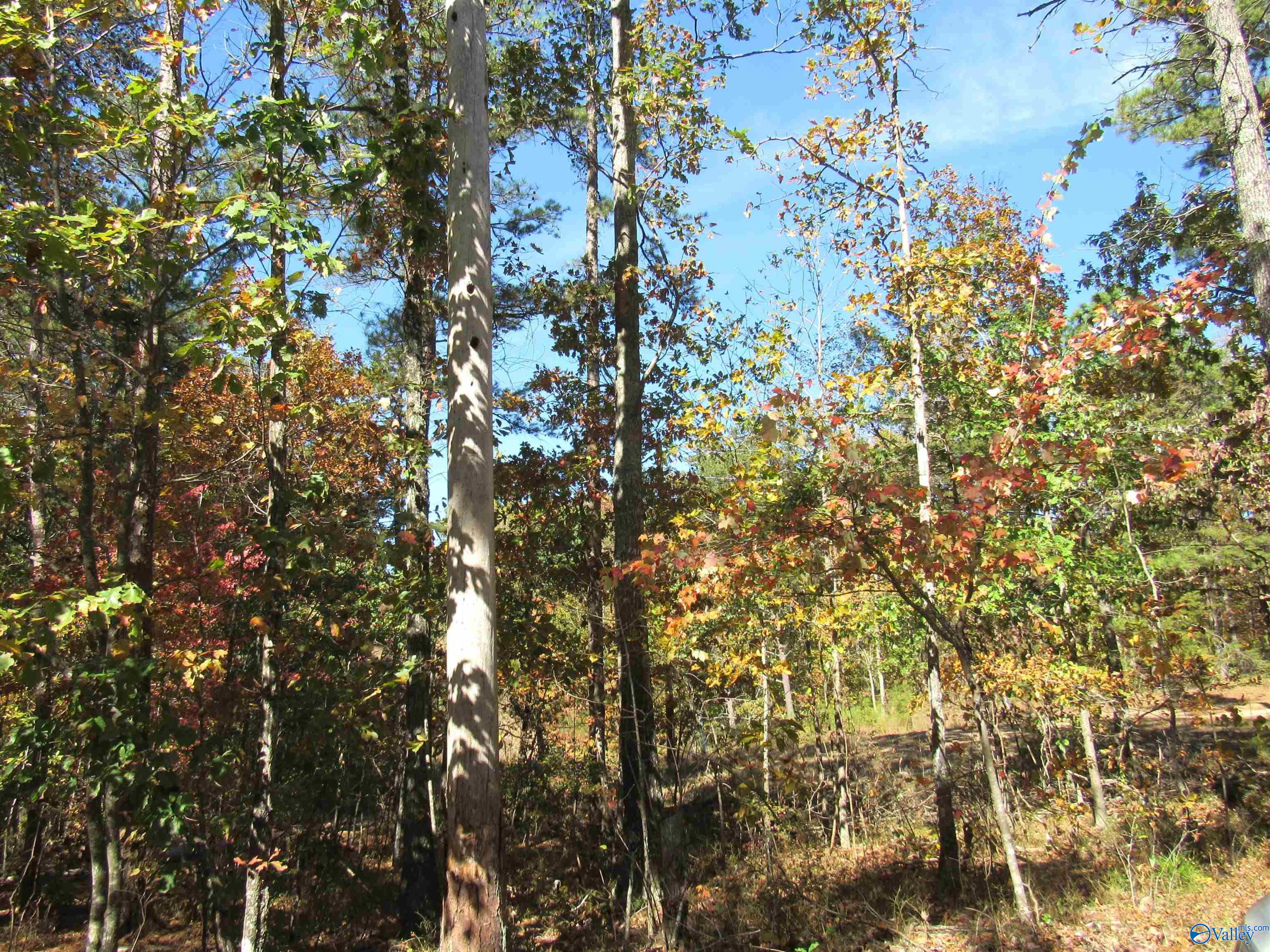 300 County Road 871