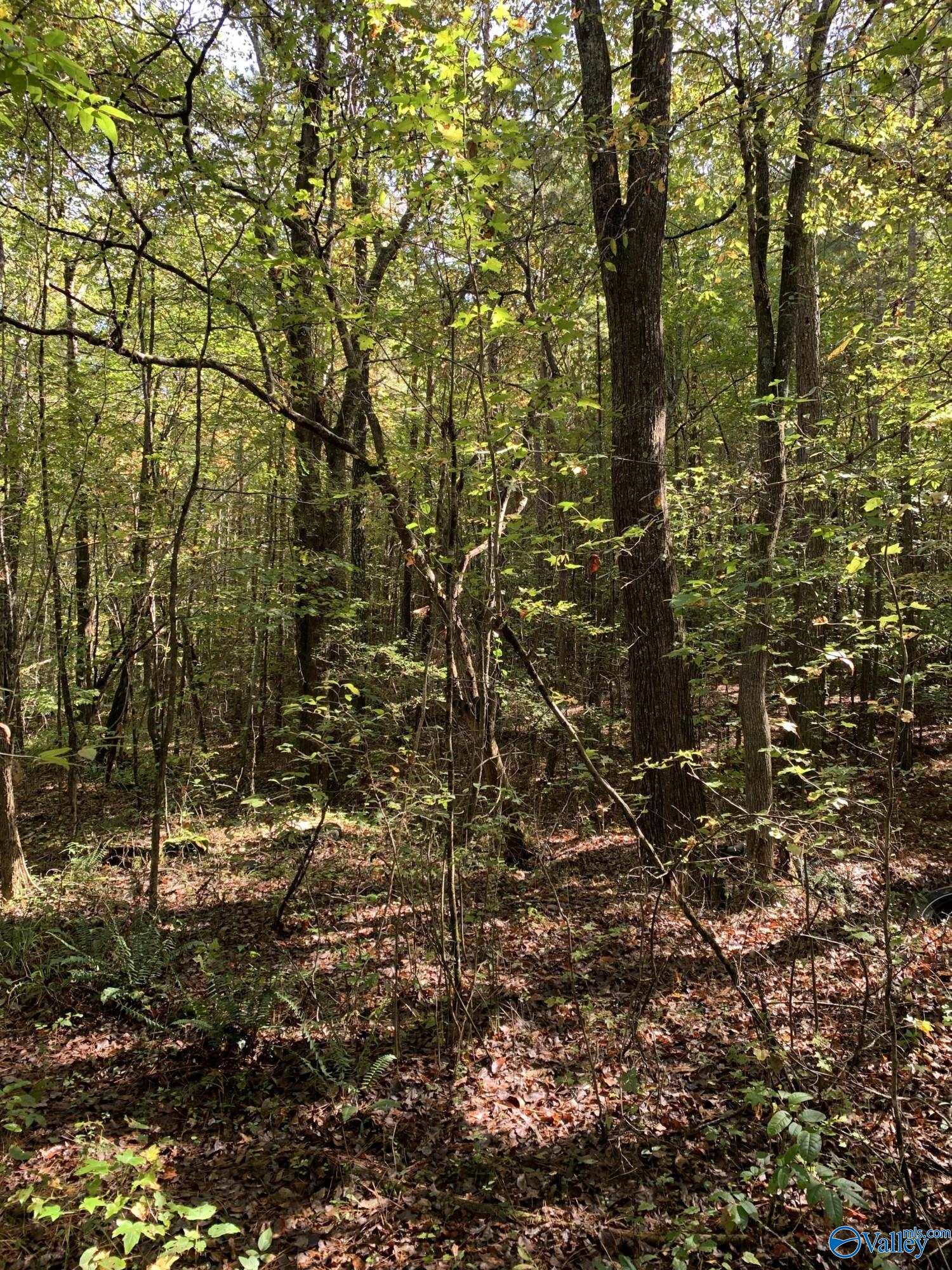 8241 Lay Springs Road