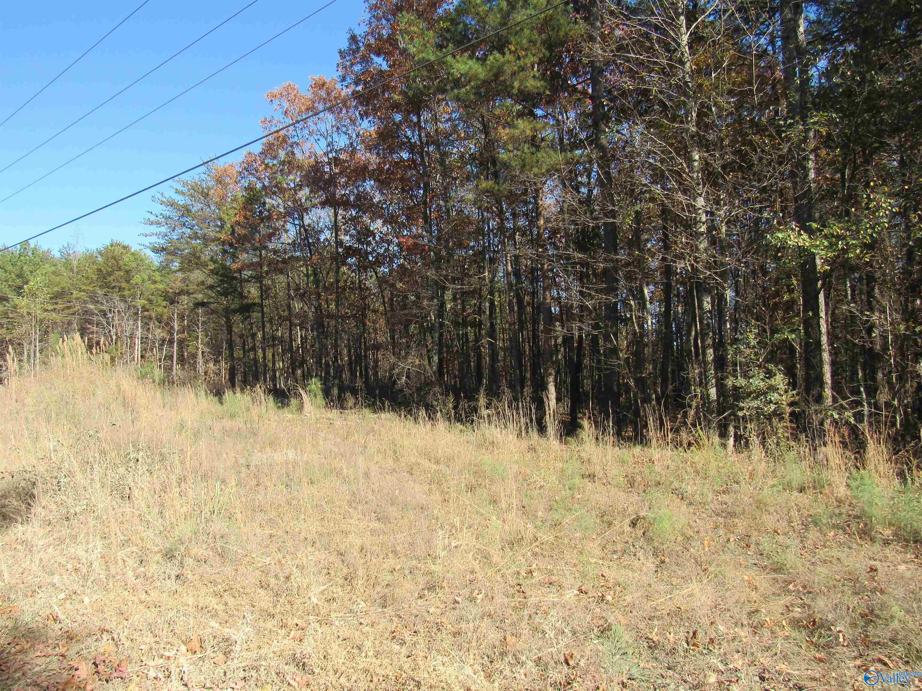 5.3 Acres County Road 861