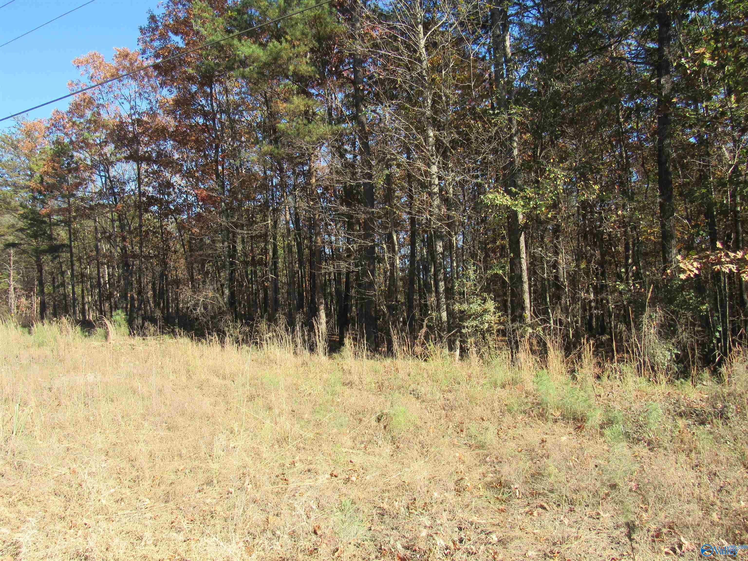 5.3 Acres County Road 861