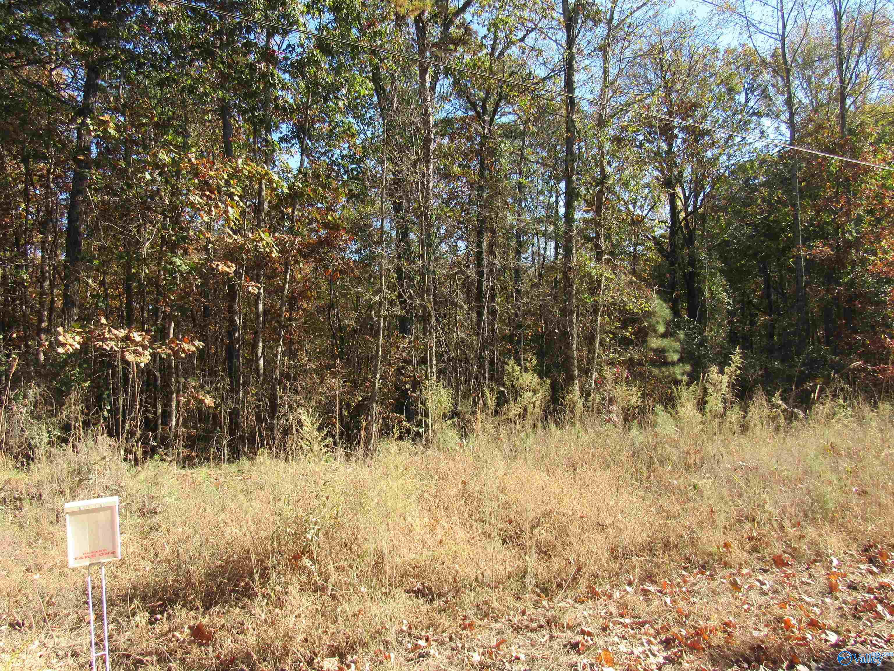 5.3 Acres County Road 861