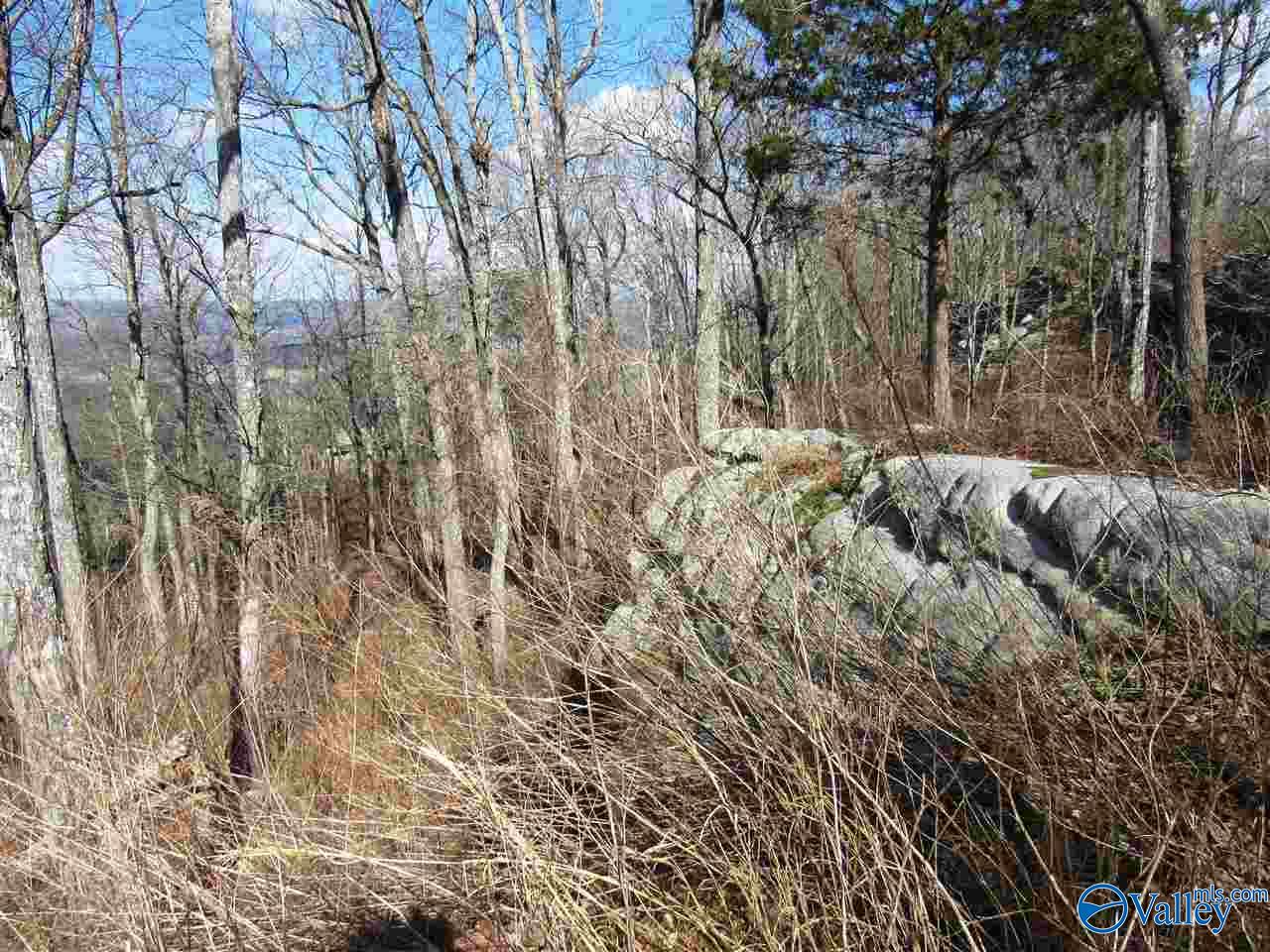 .98 Acres County Road 89