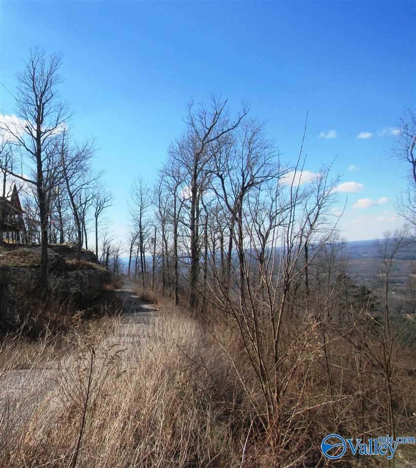 .98 Acres County Road 89