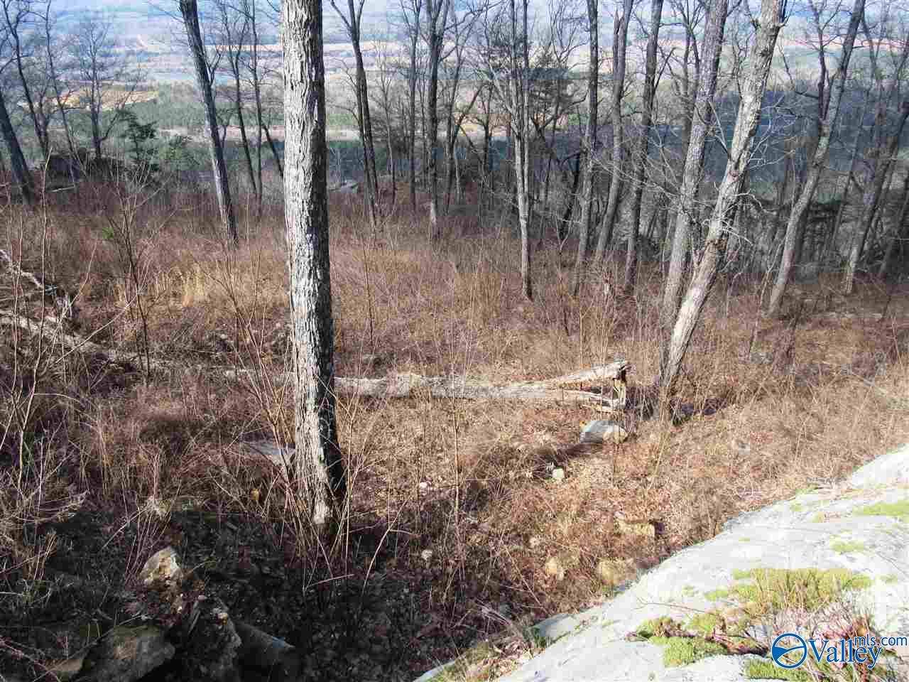 .98 Acres County Road 89