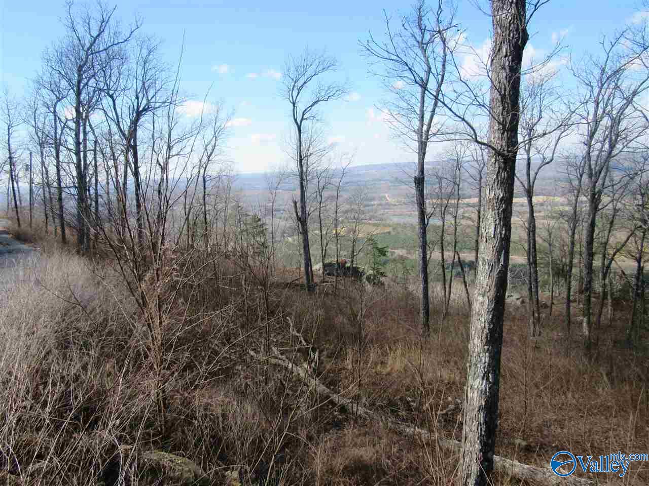.98 Acres County Road 89