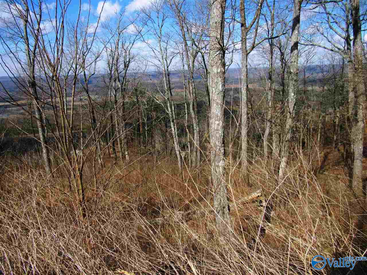 .98 Acres County Road 89