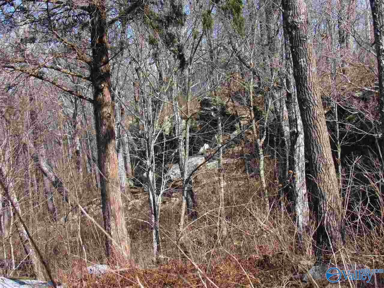 .98 Acres County Road 89