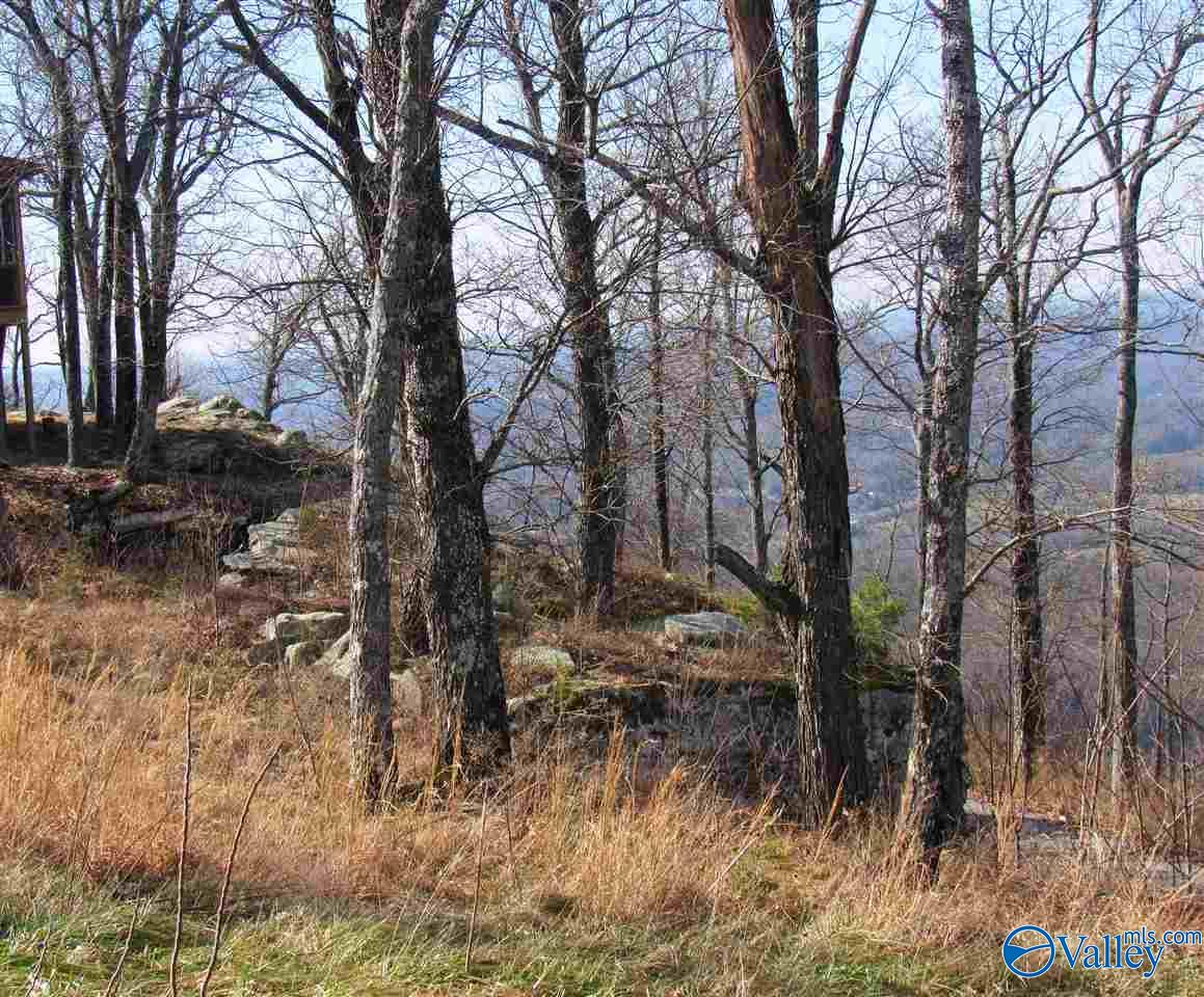 .98 Acres County Road 89