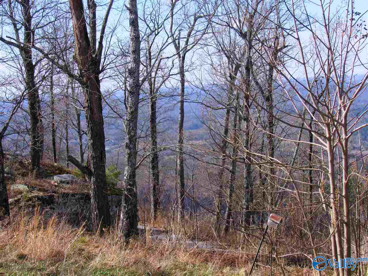 .98 Acres County Road 89