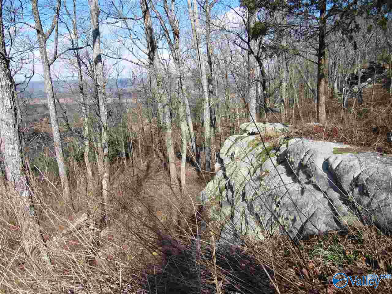 .98 Acres County Road 89
