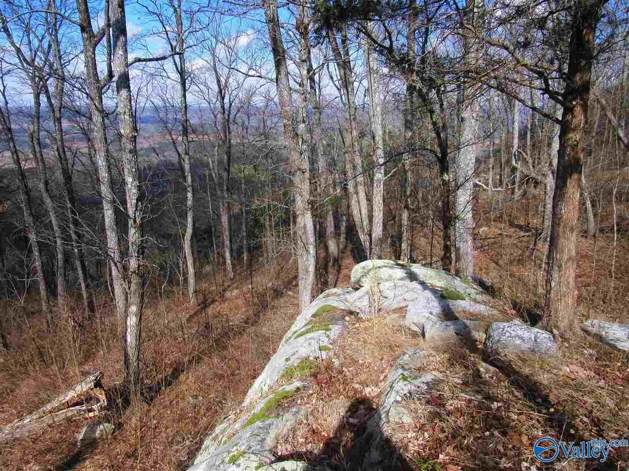 .98 Acres County Road 89