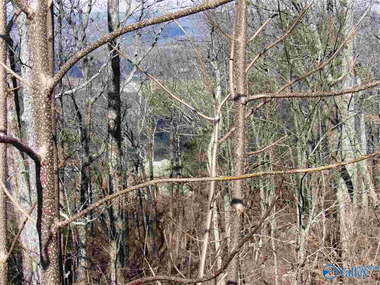 .98 Acres County Road 89