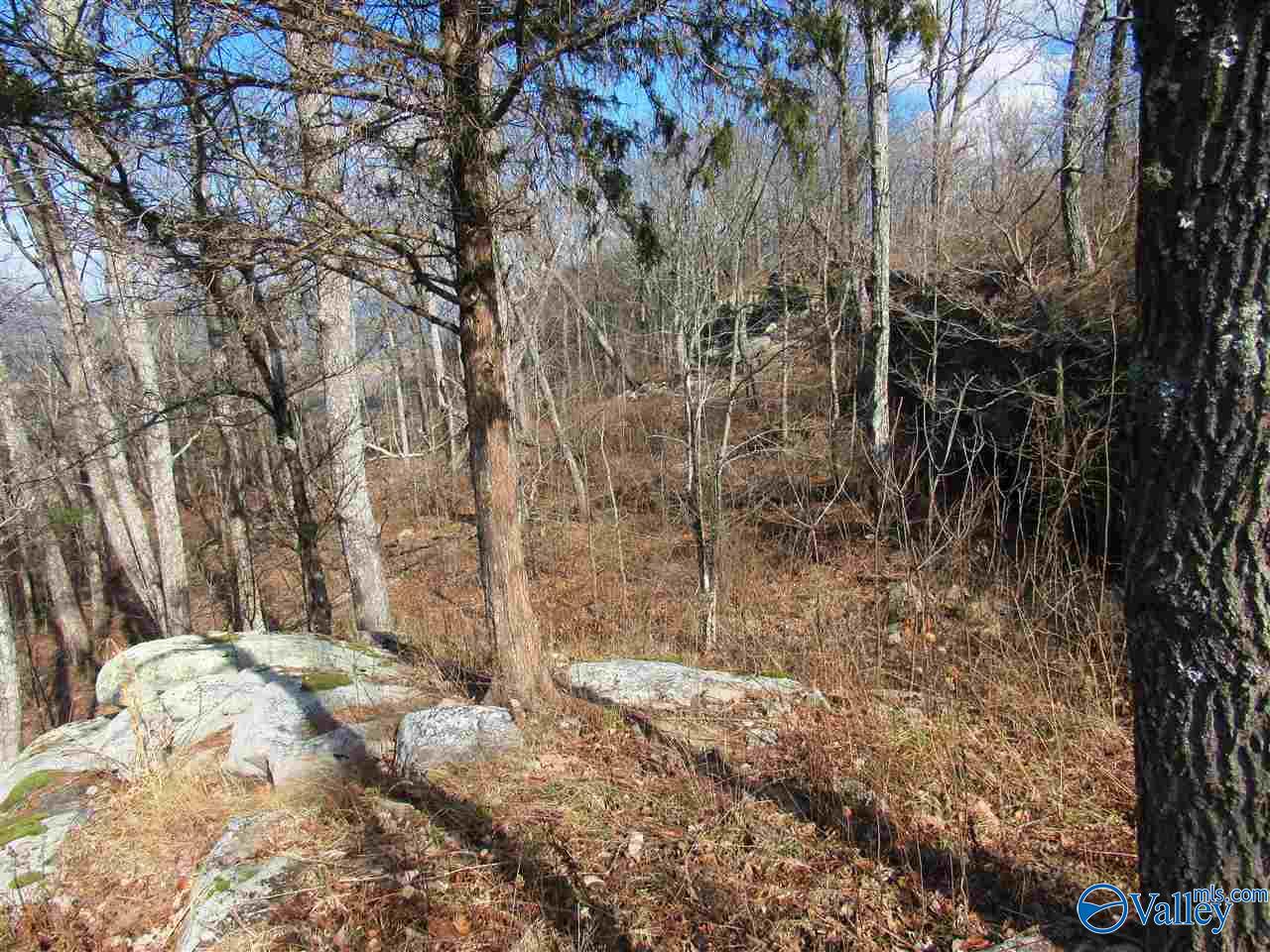 .98 Acres County Road 89