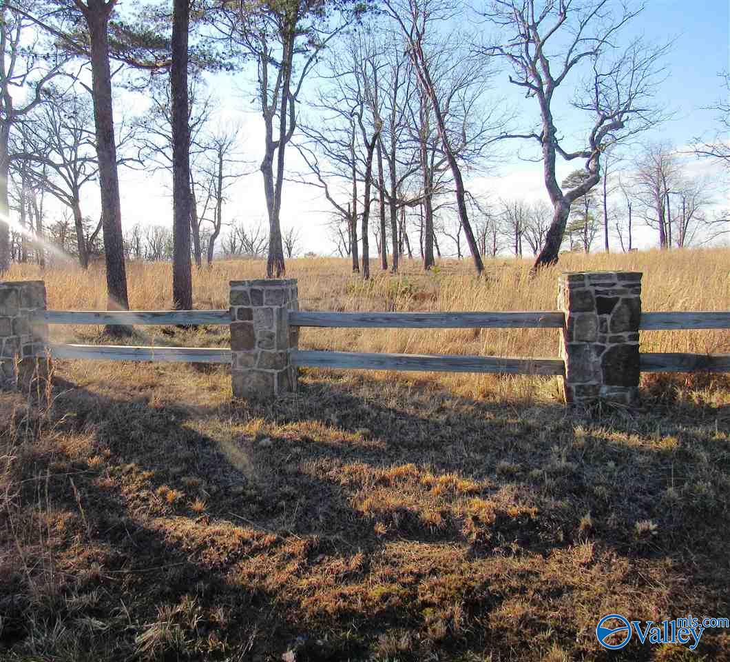 .98 Acres County Road 89